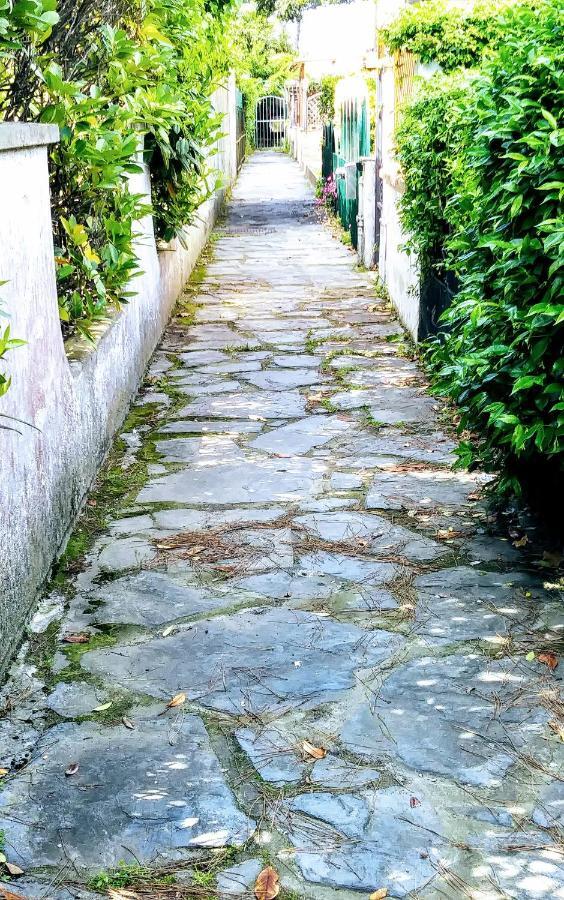 Casa Tonfoni Villa Torre del Lago Puccini Exterior foto